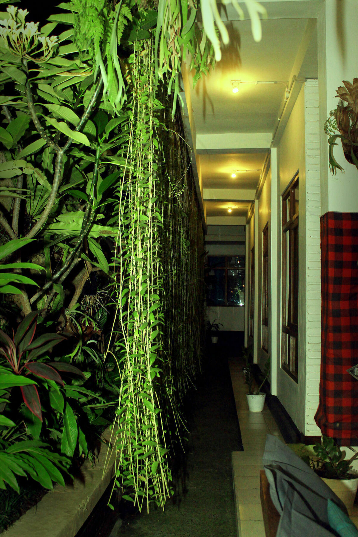 A Pousada Friendly House Bali Ubud Exterior foto